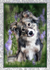 "Bonnie"  in the  bluebells