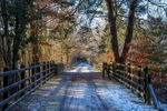 Central Bridge in Winter