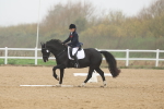 SBM_001950