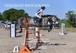 BPP_8262
