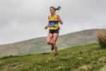 Inter Counties-950