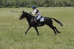 BVHT 140517  IXC -626