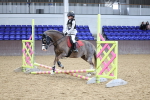 Class 1 - 40cm showjumping portfolio