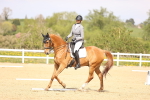 SBM_008429