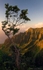 Evening Kalalau Valley
