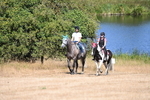 WJ6_8208