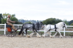 SBM_001155