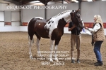 BPP_2653