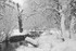 Winter Bridge_IMG_3656_BW