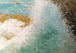 wave study