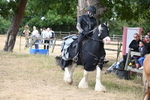 WJ6_8910