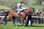 Four Burrow Point to Point (Paddock only) 06.04.2026 portfolio