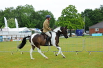 SBM_00920