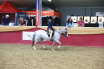 SBM_17942