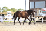 SBM_08313