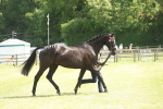 SBM_09090