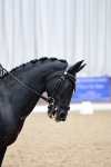 SBM_003952