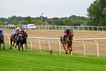 170826-Race 5-Our Absent Friends-9730