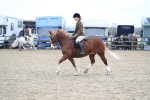 SBM_006368