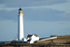 Scurdie Ness Lighthouse