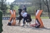BPP_7654
