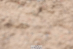 240706A-140753-02981