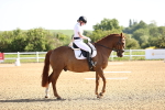 SBM_007459