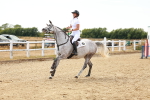 SBM_003683