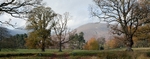 20111121-_MG_7589