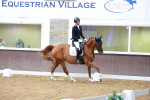 SBM_002737