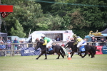 SBM_10059