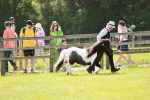 SBM_02499