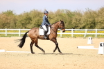 SBM_008394