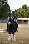 WJ6_8978