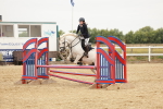 SBM_008541