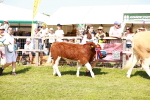 SBM_08356