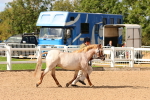 SBM_10985