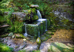 Compton Abdale Crocodile Spring 2