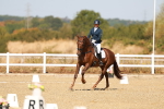 SBM_017541