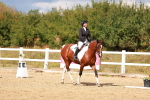 SBM_011851
