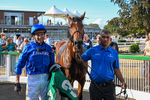 140826-Race 2-National Honour-9162