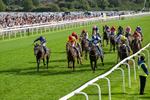060926-Race 6-Power Fizz-0379