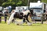 SBM_04146