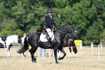 WJ7_9466