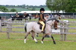 SBM_08551