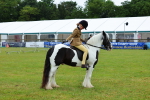 SBM_01056