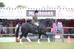 SBM_11045