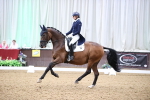 SBM_010347