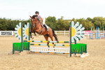 SBM_002385