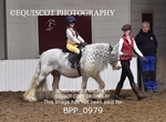 BPP_0979